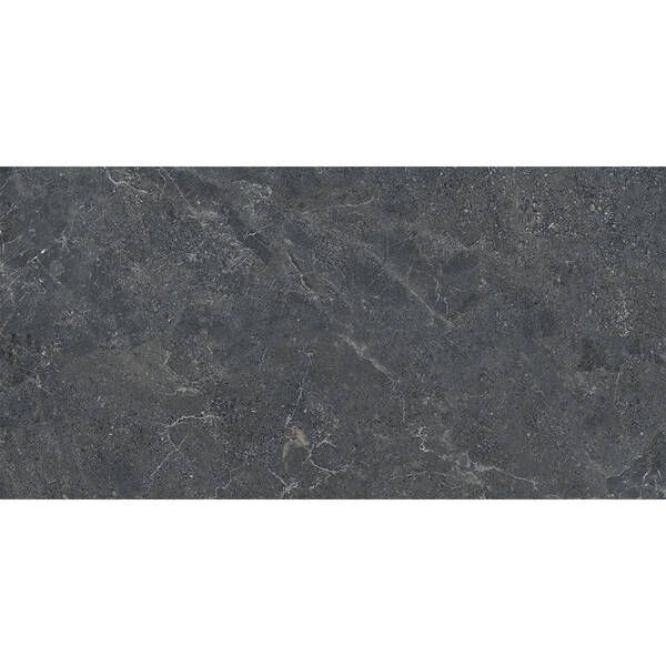 Керамограніт Ceramica Deseo MAKNATE BLACK 60x120 cм 598429 фото