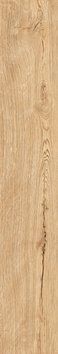 Керамогранітна плитка Armario Honey F PR 19,8*120 R Mat 1 60133333 фото