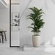 Керамограніт Argenta Ceramica Tholos White Natural 120x260 см 550159 фото 2