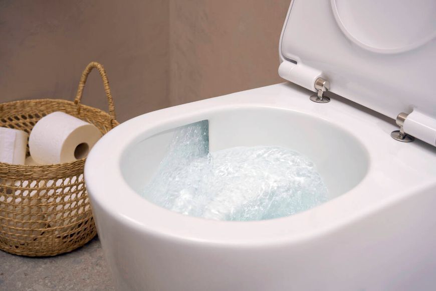 ELU PURA S унітаз підвісний 54*36,6см AquaHelix Flush, HygieneEffect, в комплекте з сиденням Slim з функцією SoftClose and QuickRelease 100054 фото