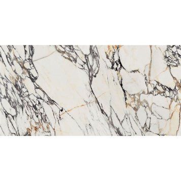 0009024 SPR.TREAS.CORCHIA GOLD LUX R 60X120 (1 сорт) 502358 фото