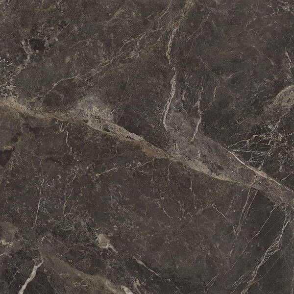 Керамогранит Cersanit Fiero Matt 59,8x59,8 см 544860 фото