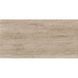 Керамограніт Ceramica Deseo Mystical Virtue Taupe 60x120 см 566383 фото 7