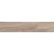 Керамограніт Almera Ceramica Ec.Kootenai Haya 8x44 см 584165 фото 3