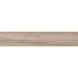 Керамограніт Almera Ceramica Ec.Kootenai Haya 8x44 см 584165 фото 2
