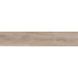 Керамограніт Almera Ceramica Ec.Kootenai Haya 8x44 см 584165 фото 1