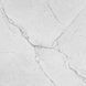 Плитка Ceramica Deseo Segesta Silver 60x60 см 541758 фото 1