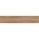 Керамогранит Almera Ceramica Ec.Kootenai Straw 8x44 см 584164 фото 1