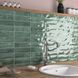 Плитка Ceramica Deseo Ec.Pool Green 31,6х60 см 535919 фото 1
