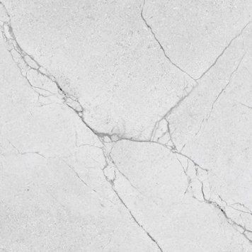 SEGESTA SILVER (1 сорт) 541758 фото