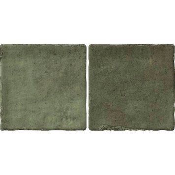 Керамограніт Almera Ceramica (Spain) Bright Salvia 10x20 см 585266 фото