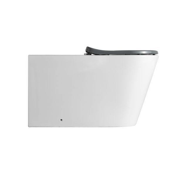 Унитаз напольный Qtap Freedom инклюзивный безбачковый Rimless безободковый с сиденьем Soft-close WHITE QT22223368W SD00052584 фото