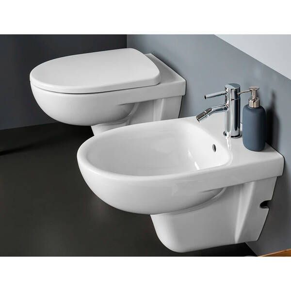Унітаз підвісний Geberit Selnova Rimfree 501.751.00.1 із сидінням Soft Close 535598 фото