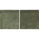 Керамогранит Almera Ceramica (Spain) Bright Salvia 10x20 см 585266 фото 1