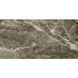 GPH12639 ZIRCON (1 сорт) 421726 фото 3