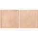 Керамогранит Almera Ceramica (Spain) Manual Salmon 10x20 см 585272 фото 1
