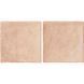 Керамогранит Almera Ceramica (Spain) Manual Salmon 10x20 см 585272 фото 3