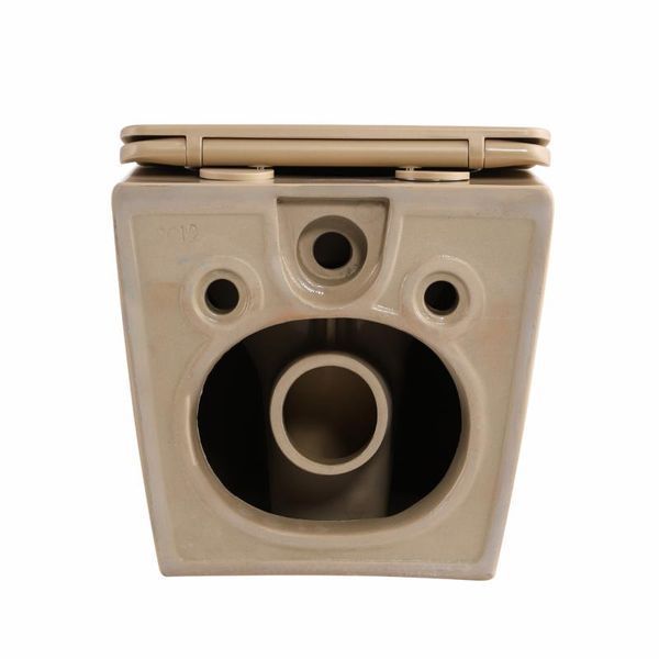 Унитаз подвесной Qtap Robin Ultra Quiet 520&times;365&times;340&nbsp;мм, Beige, с сиденьем Slim Duroplast / Soft-close / Quick Release QTROB26SB48997 SD00055121 фото