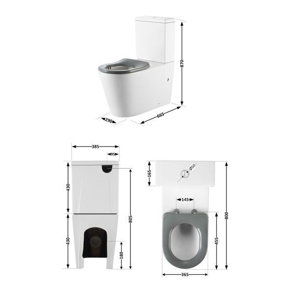 Унітаз підлоговий Qtap Freedom інклюзивний Rimless безобідковий з сидінням Soft-close WHITE QT22226098W SD00052583 фото