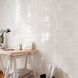 Керамограніт Almera Ceramica (Spain) Bright Talco 10x20 см 585262 фото 4