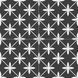 Керамограніт Almera Ceramica (Spain) Pris.Pre. Star Black 45х45 см 557193 фото 1