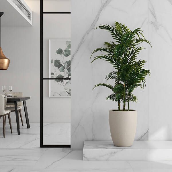 Керамогранит Argenta Tholos White Polished 120x260 см 559890 фото
