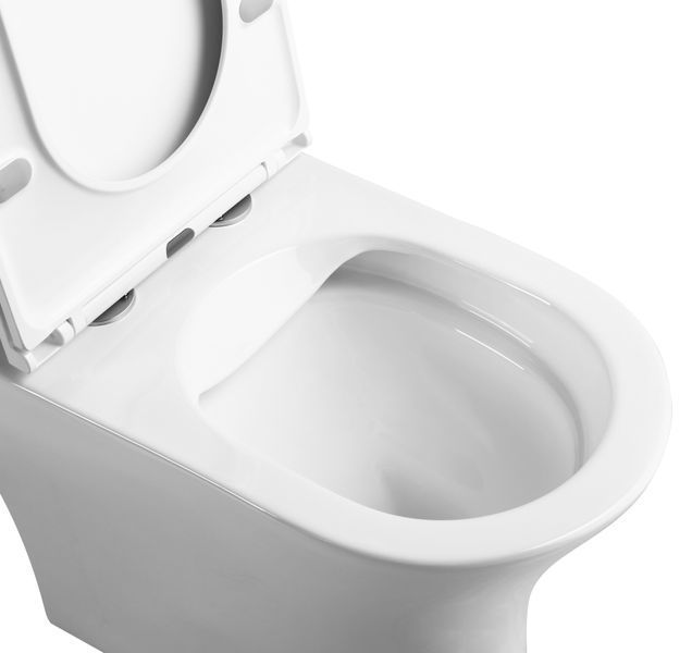 FIRM Rimless, напольный унитаз с бачком не пристенный 65*36*83 см, сиденье duroplast slow-closng 99591 фото