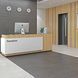 Сходинка Cersanit Milton Dark Grey Steptread 29,8x59,8 см 422044 фото 2