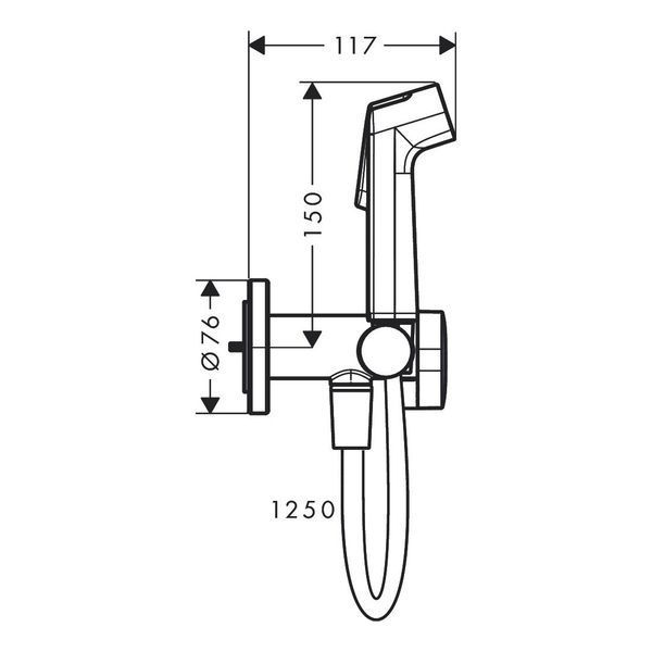 HANSGROHE S гігієнічний душ 1jet EcoSmart, зі шлангом 1,25 м та тримачем, хром 88418 фото
