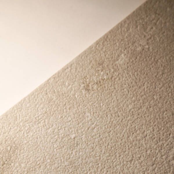 Керамогранит Alaplana P.E. Portland Bone Mate 60х120 см 579815 фото