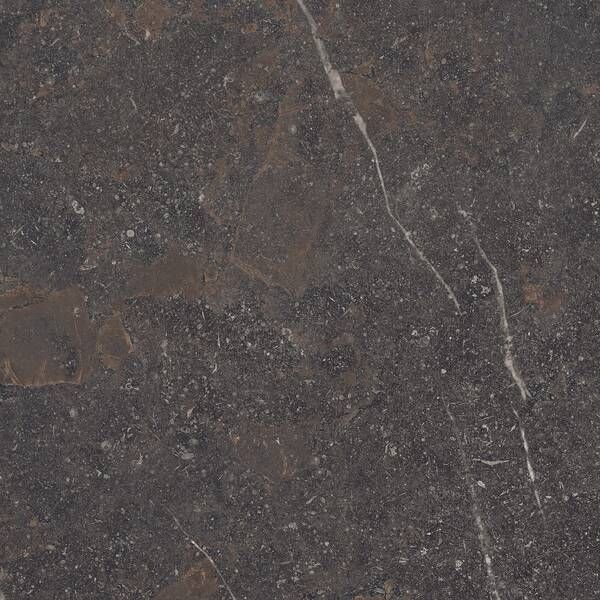 Керамограніт Peronda Royal Brown Sp/R 100x100 см 596423 фото