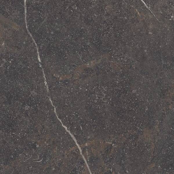 Керамограніт Peronda Royal Brown Sp/R 100x100 см 596423 фото