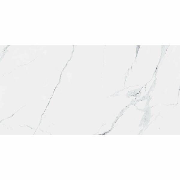 Керамогранит Almera Ceramica-2 K1264334yam Maestro 60x120 см 557881 фото