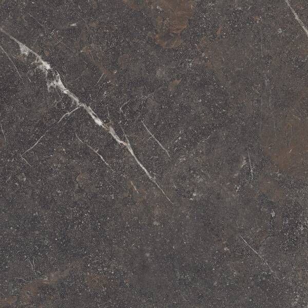 Керамограніт Peronda Royal Brown Sp/R 100x100 см 596423 фото