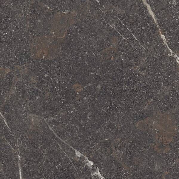 Керамограніт Peronda Royal Brown Sp/R 100x100 см 596423 фото