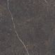 Керамограніт Peronda Royal Brown Sp/R 100x100 см 596423 фото 4