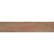 Керамогранит Alaplana P.E. Tiverton Natural Mate Rect. 23x120 см 603742 фото 6