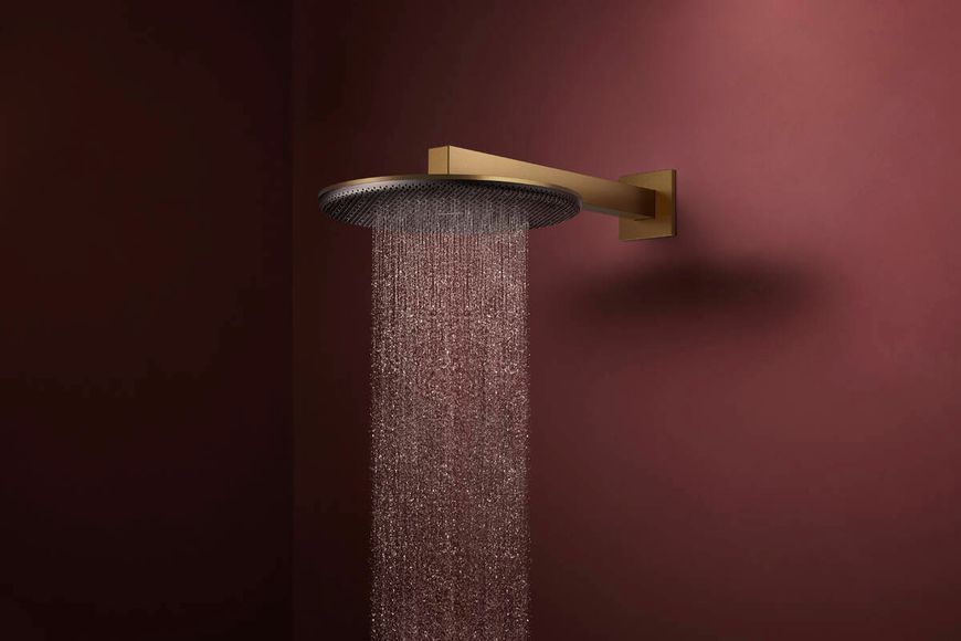 RAINDANCE ALIVE S верхний душ 300мм, 2 режима, с держателем, цвет шлифованная бронза 100479 фото