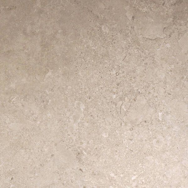 Керамогранит Alaplana P.E. Portland Sand Mate 100x100 Rect. 100х100 см 584356 фото