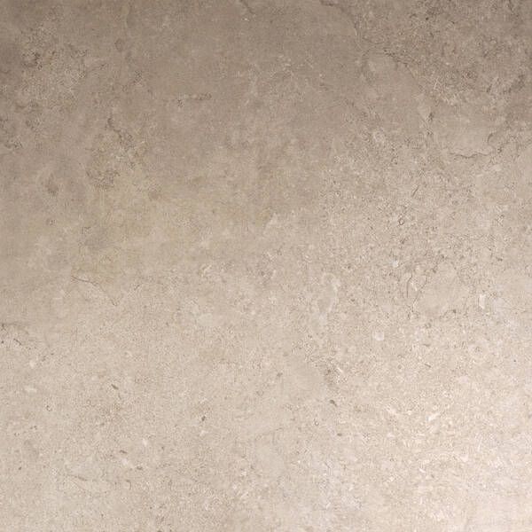 Керамогранит Alaplana P.E. Portland Sand Mate 100x100 Rect. 100х100 см 584356 фото