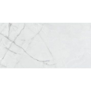 GELSA PERLA (1 сорт) 556844 фото