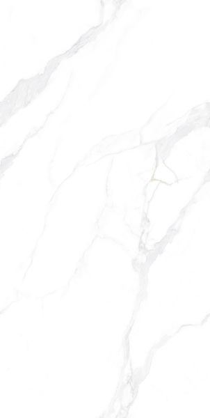 Плита керамограніт 600*1200 мм Premium White Honed Уп.2,16м2/3шт 99958 фото