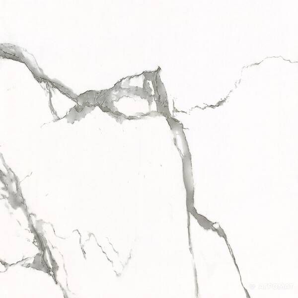 Керамогранит Almera Ceramica Carrara Gxj00160S 60x60 см 325392 фото