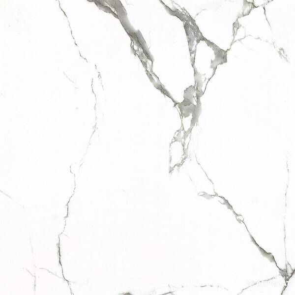 Керамогранит Almera Ceramica Carrara Gxj00160S 60x60 см 325392 фото