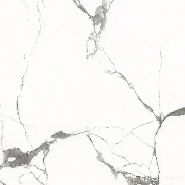 Керамогранит Almera Ceramica Carrara Gxj00160S 60x60 см 325392 фото