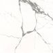 Керамогранит Almera Ceramica Carrara Gxj00160S 60x60 см 325392 фото 6