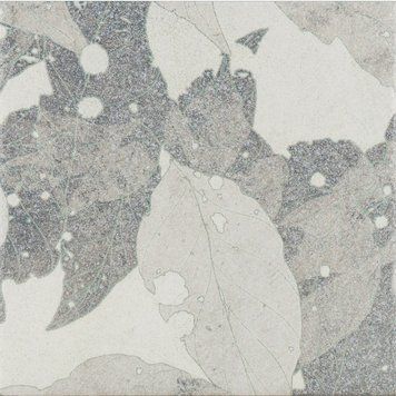 559502 фото