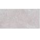 Плитка Opoczno Teneza Light Grey Glossy 29,7х60 см 531296 фото 1