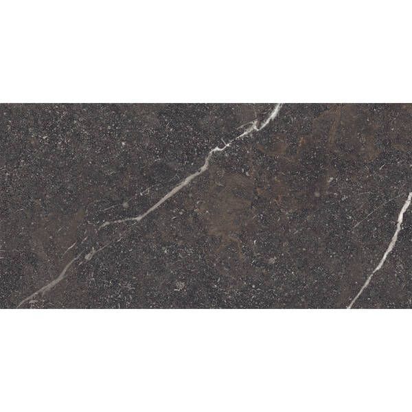 Керамогранит Peronda Royal Brown SP/60X120X0,9/C/R 60х120 см 596875 фото