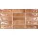 Плитка Ceramica Deseo Ec.Pool Cotto 31,6х60 см 535922 фото 1